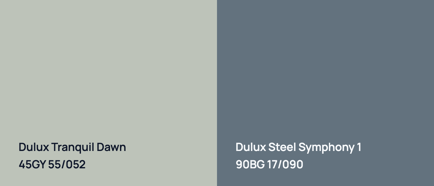 Dulux Tranquil Dawn 45GY 55/052 vs Dulux Steel Symphony 1 90BG 17/090