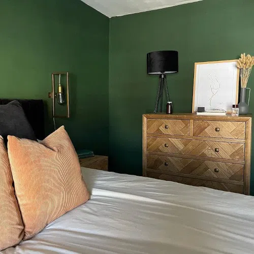 Фото цвета Farrow and Ball W55 Duck Green