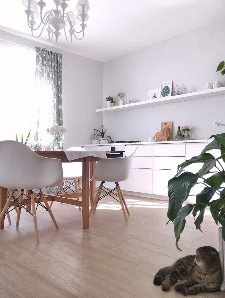 Кухня в скандинавском стиле Tikkurila F500 Ангел