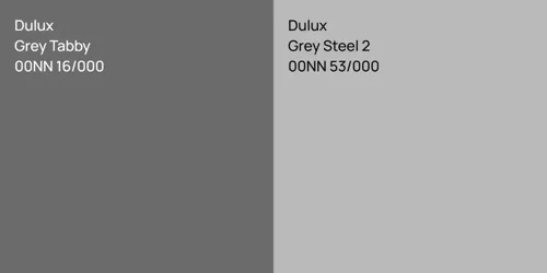 00NN 16/000 Grey Tabby vs 00NN 53/000 Grey Steel 2