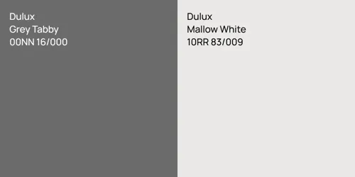 00NN 16/000 Grey Tabby vs 10RR 83/009 Mallow White