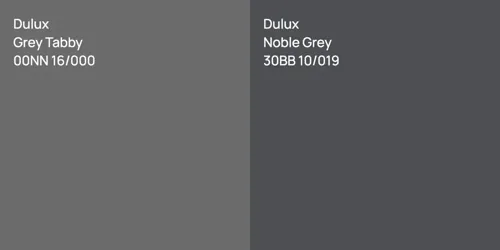 00NN 16/000 Grey Tabby vs 30BB 10/019 Noble Grey