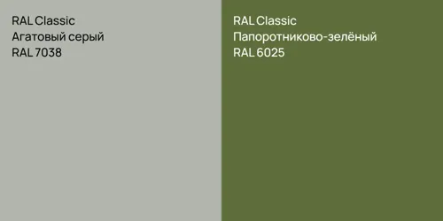 RAL 7038 Агатовый серый vs RAL 6025 Папоротниково-зелёный
