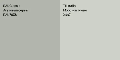 RAL 7038 Агатовый серый vs X447 Морской туман