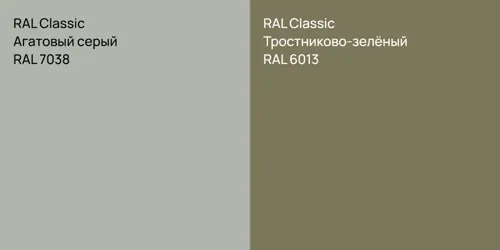 RAL 7038 Агатовый серый vs RAL 6013 Тростниково-зелёный
