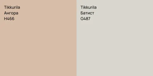 H466 Ангора vs G487 Батист