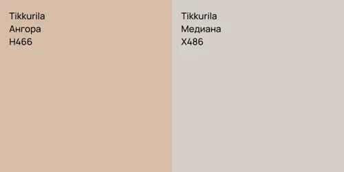 H466 Ангора vs X486 Медиана