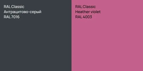 RAL 7016 Антрацитово-серый vs RAL 4003  Heather violet