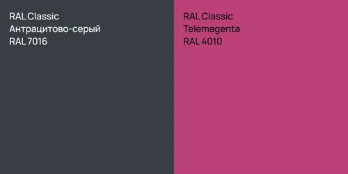 RAL 7016 Антрацитово-серый vs RAL 4010  Telemagenta