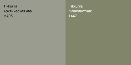 M495 Арктическая ива vs L447 Чашелистник