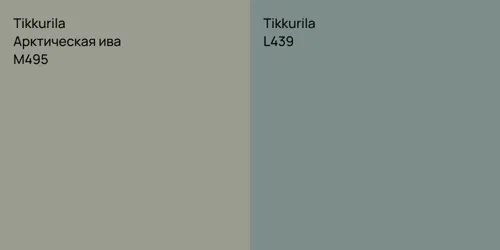 M495 Арктическая ива vs L439 