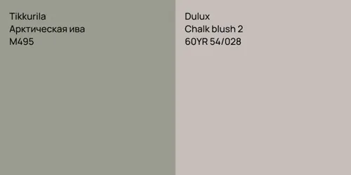 M495 Арктическая ива vs 60YR 54/028 Chalk blush 2
