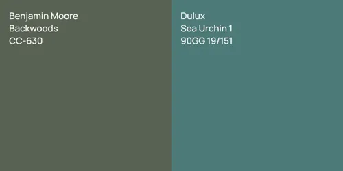 CC-630 Backwoods vs 90GG 19/151 Sea Urchin 1