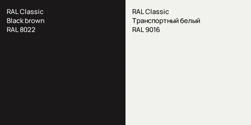 RAL 8022 Black brown vs RAL 9016 Транспортный белый