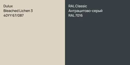 40YY 67/087 Bleached Lichen 3 vs RAL 7016 Антрацитово-серый