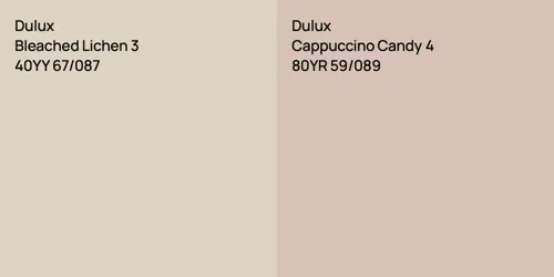 40YY 67/087 Bleached Lichen 3 vs 80YR 59/089 Cappuccino Candy 4
