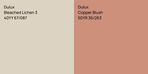 40YY 67/087 Bleached Lichen 3 vs 50YR 36/263 Copper Blush