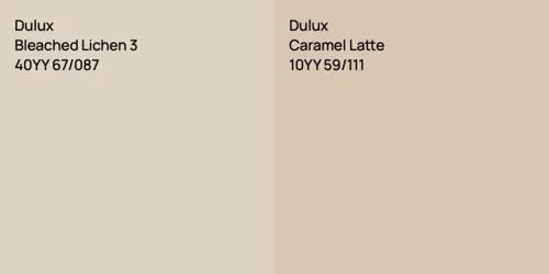 40YY 67/087 Bleached Lichen 3 vs 10YY 59/111 Caramel Latte