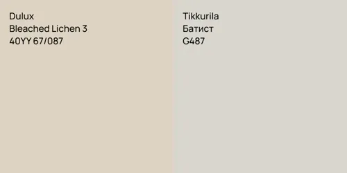 40YY 67/087 Bleached Lichen 3 vs G487 Батист
