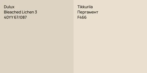 40YY 67/087 Bleached Lichen 3 vs F466 Пергамент