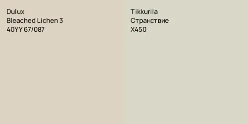 40YY 67/087 Bleached Lichen 3 vs X450 Странствие