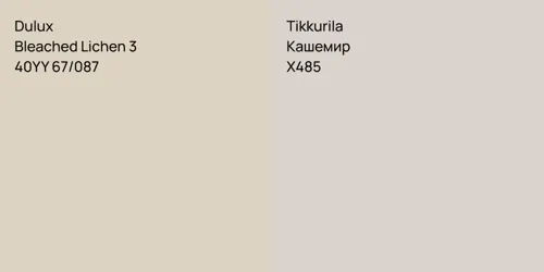 40YY 67/087 Bleached Lichen 3 vs X485 Кашемир