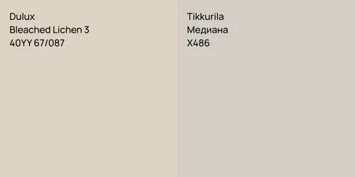 40YY 67/087 Bleached Lichen 3 vs X486 Медиана