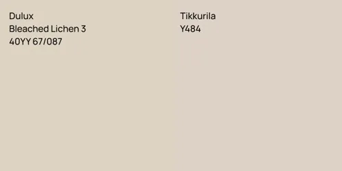 40YY 67/087 Bleached Lichen 3 vs Y484 