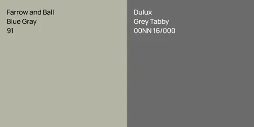 91 Blue Gray vs 00NN 16/000 Grey Tabby