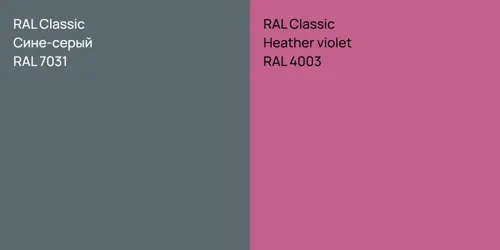RAL 7031 Сине-серый vs RAL 4003  Heather violet