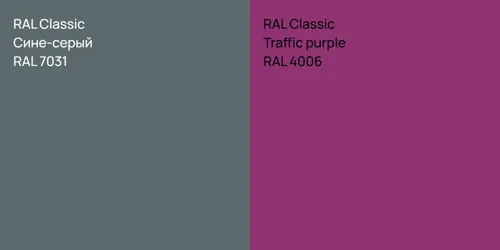 RAL 7031 Сине-серый vs RAL 4006  Traffic purple