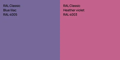 RAL 4005  Blue lilac vs RAL 4003  Heather violet