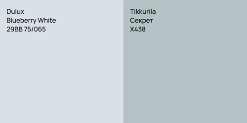 29BB 75/065 Blueberry White vs X438 Секрет