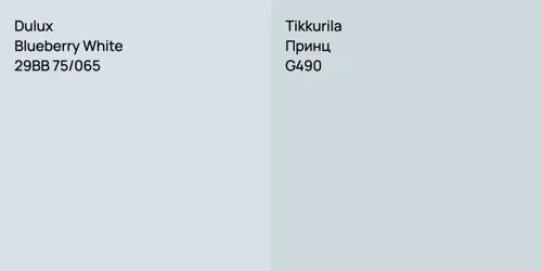 29BB 75/065 Blueberry White vs G490 Принц