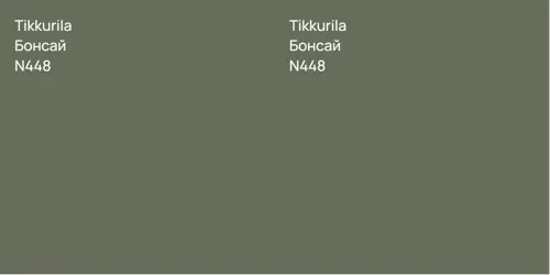 N448 Бонсай vs N448 Бонсай