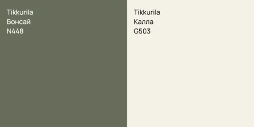 N448 Бонсай vs G503 Калла