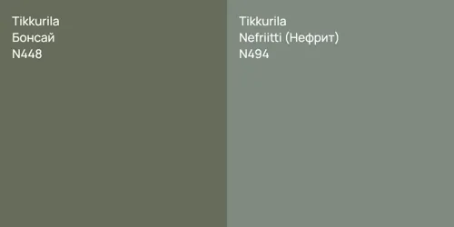 N448 Бонсай vs N494 Nefriitti (Нефрит)