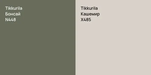 N448 Бонсай vs X485 Кашемир