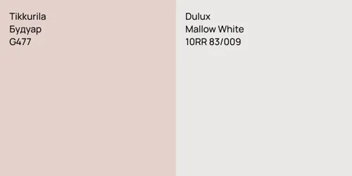 G477 Будуар vs 10RR 83/009 Mallow White