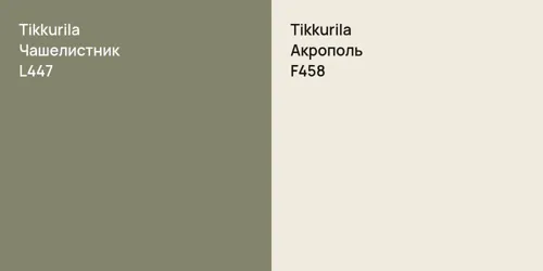 L447 Чашелистник vs F458 Акрополь