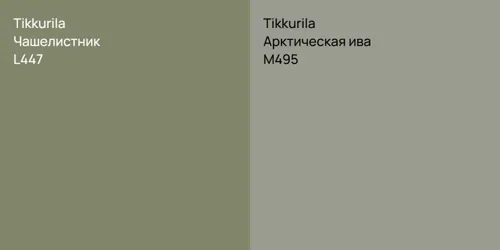 L447 Чашелистник vs M495 Арктическая ива