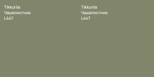L447 Чашелистник vs L447 Чашелистник