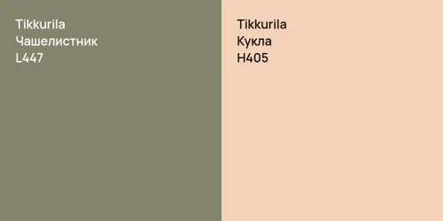 L447 Чашелистник vs H405 Кукла