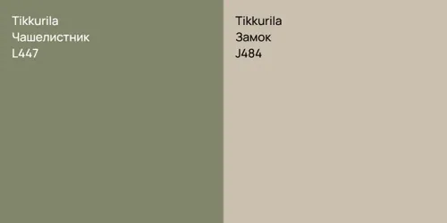 L447 Чашелистник vs J484 Замок
