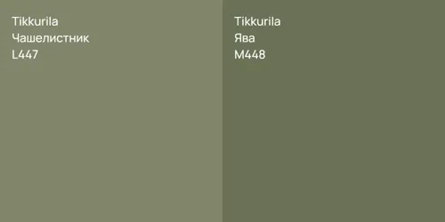 L447 Чашелистник vs M448 Ява