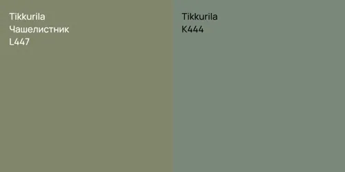 L447 Чашелистник vs K444 