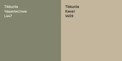 L447 Чашелистник vs V459 Канат