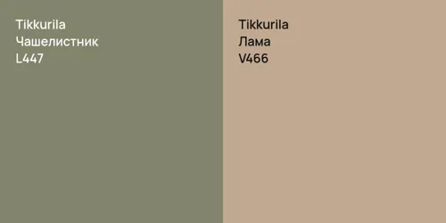 L447 Чашелистник vs V466 Лама