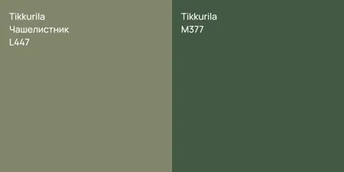 L447 Чашелистник vs M377 
