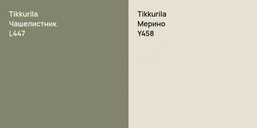 L447 Чашелистник vs Y458 Мерино
